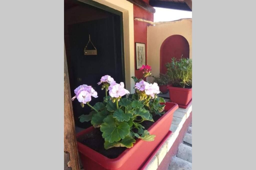 Green Hill Studio Corfu Town Exterior photo